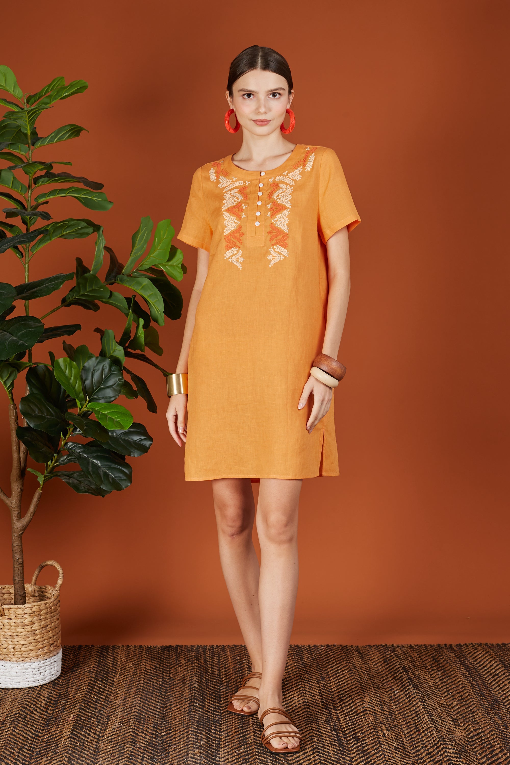 Layla Two Tone Embroidery Button Dress