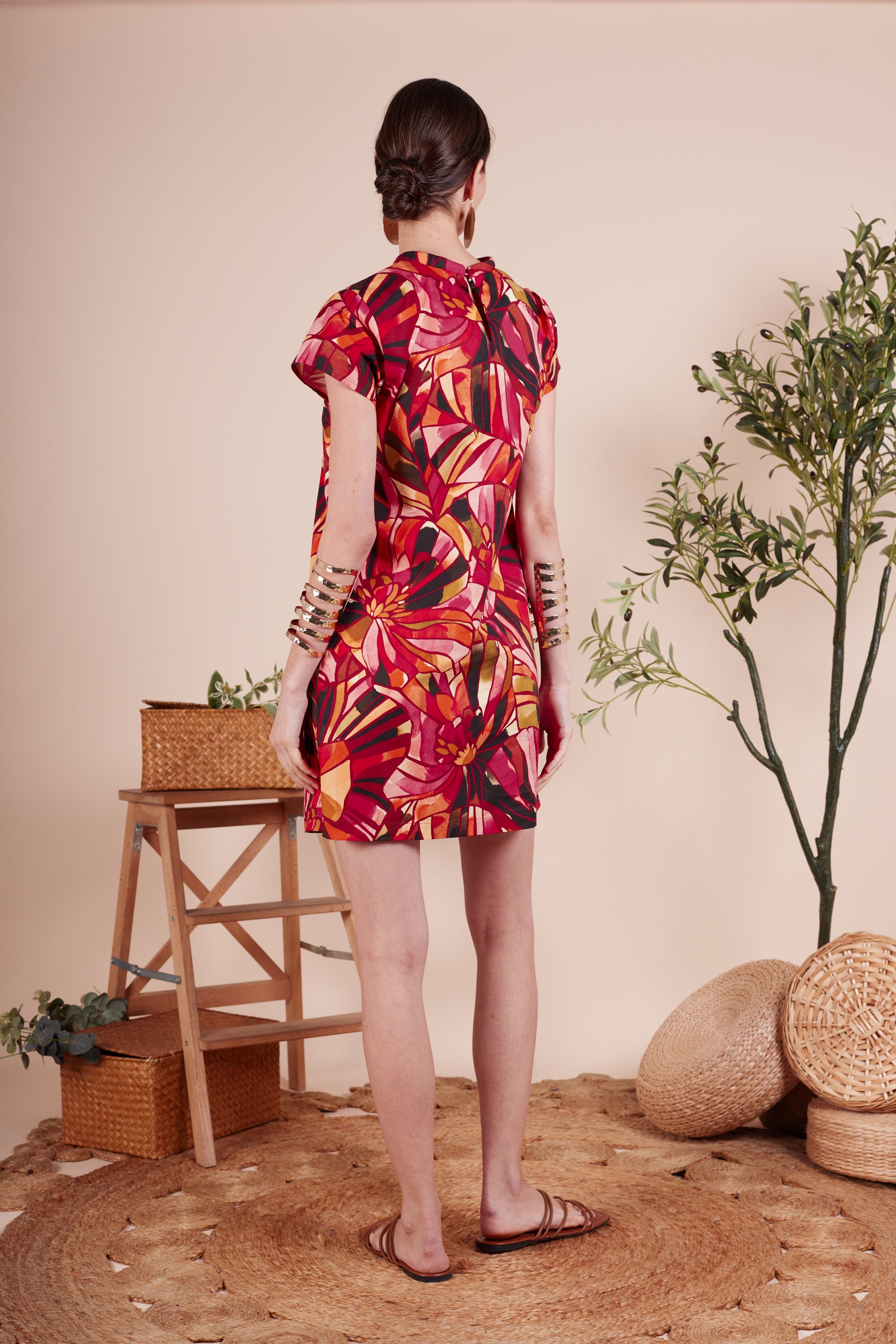 Isabella Floral Printed Dress