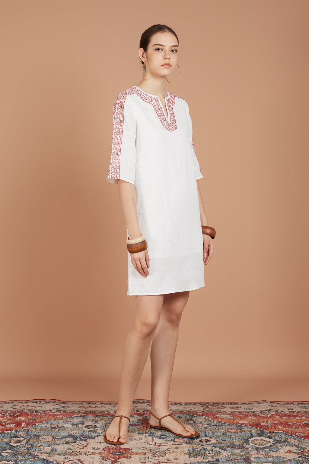 Asha Embroidery Dress