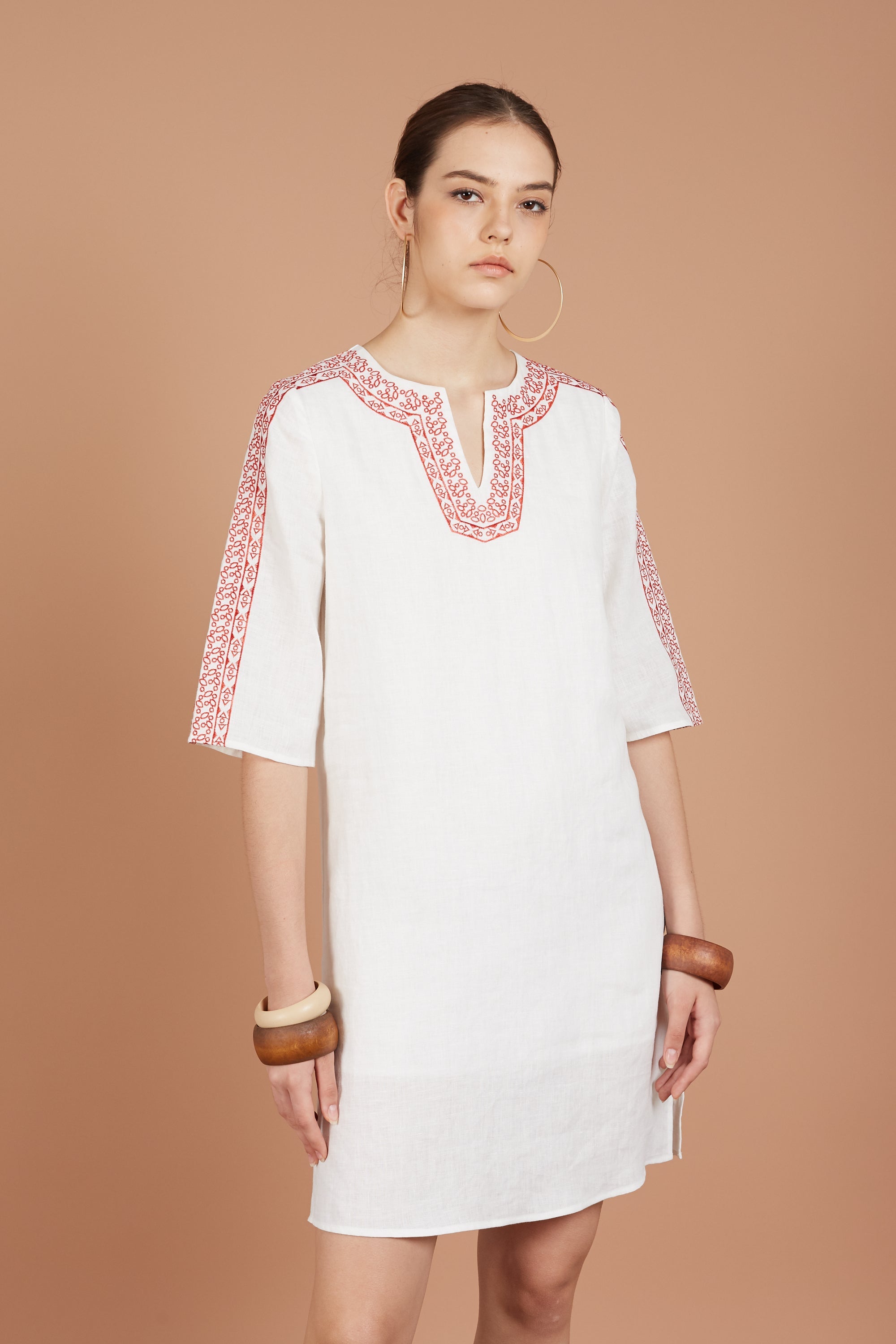 Asha Embroidery Dress