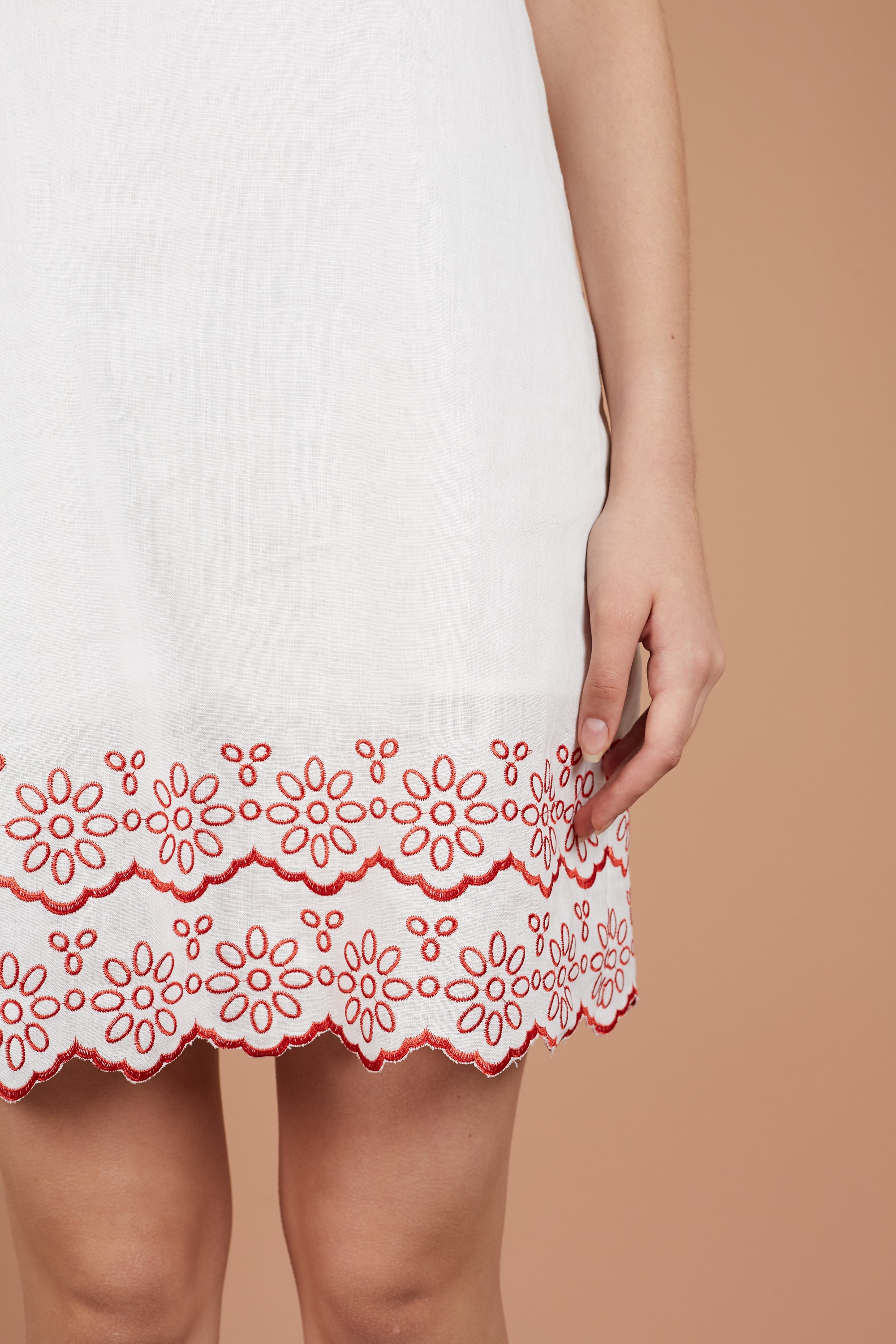 Asha Embroidery Sleeveless Dress