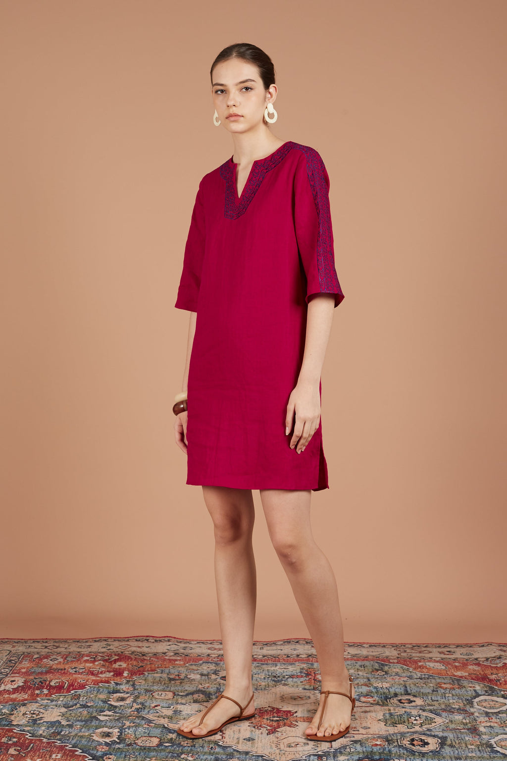 Asha Embroidery Dress