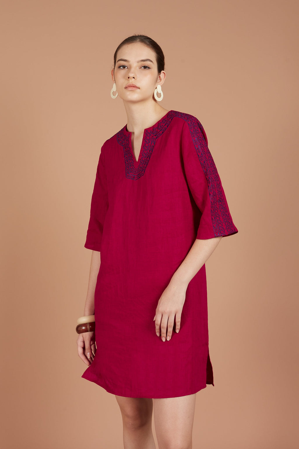 Asha Embroidery Dress