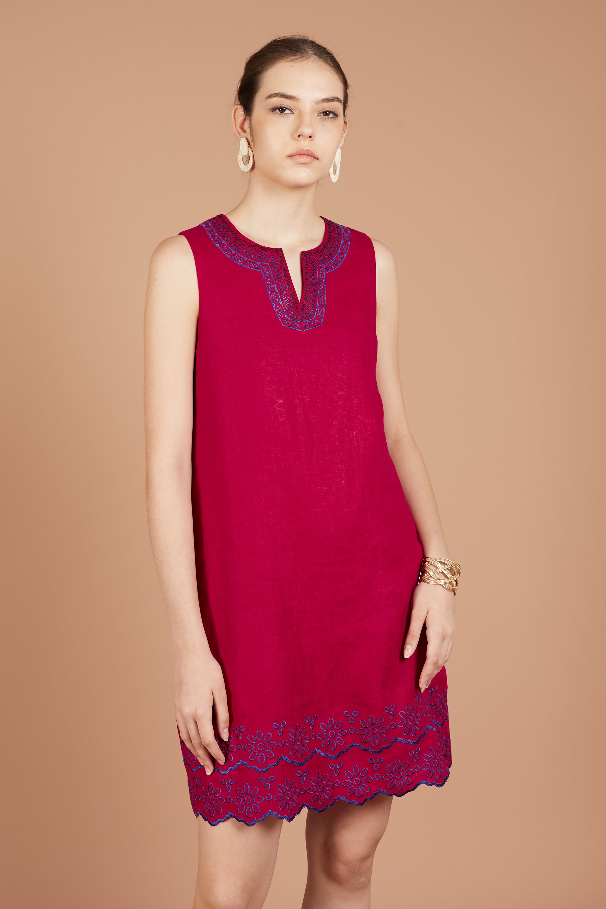 Asha Embroidery Sleeveless Dress